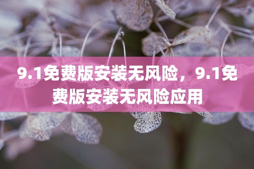 9.1免费版安装无风险，9.1免费版安装无风险应用