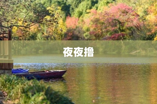 夜夜撸