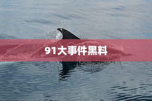 91大事件黑料