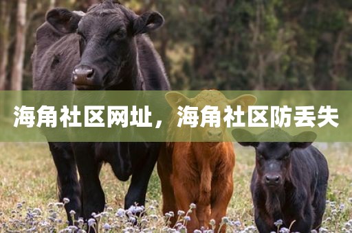 海角社区网址，海角社区防丢失