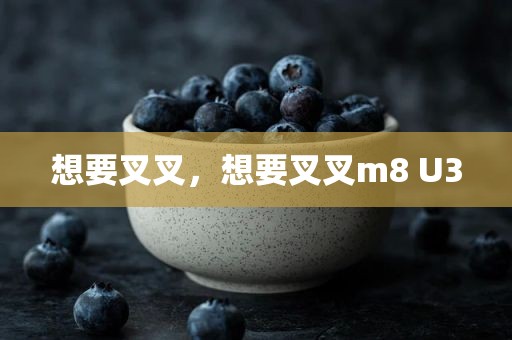 想要叉叉，想要叉叉m8 U3