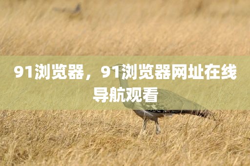91浏览器，91浏览器网址在线导航观看