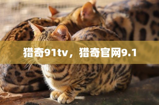 猎奇91tv，猎奇官网9.1
