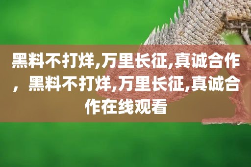 黑料不打烊,万里长征,真诚合作，黑料不打烊,万里长征,真诚合作在线观看