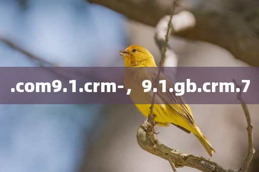.com9.1.crm-，9.1.gb.crm.7