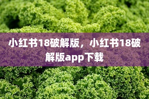 小红书18破解版，小红书18破解版app下载