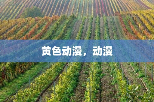 黄色动漫，动漫