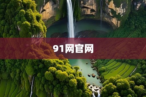 91网官网