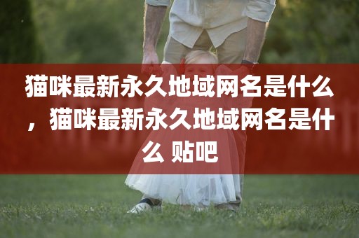 猫咪最新永久地域网名是什么，猫咪最新永久地域网名是什么 贴吧