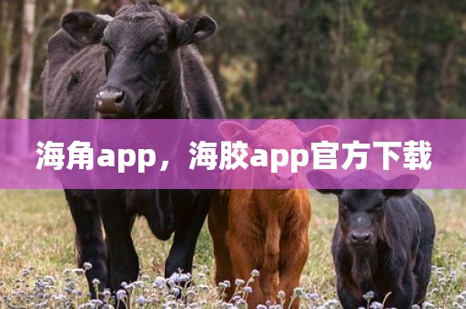 海角app，海胶app官方下载