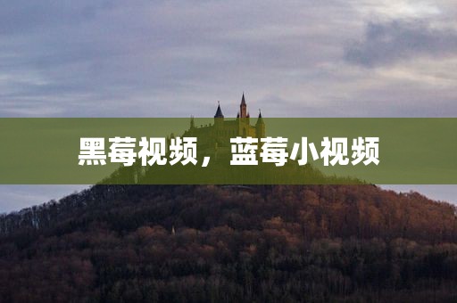 黑莓视频，蓝莓小视频