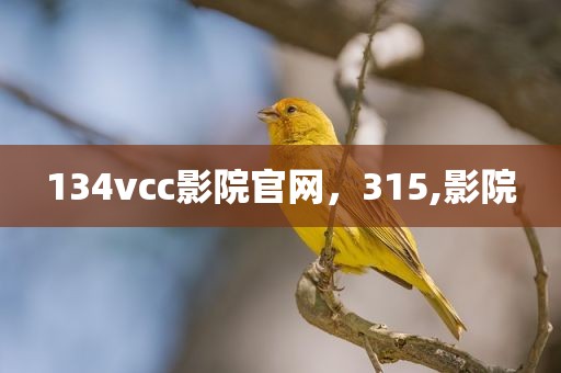 134vcc影院官网，315,影院