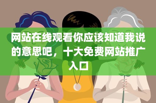 网站在线观看你应该知道我说的意思吧，十大免费网站推广入口