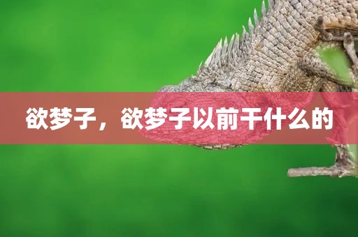 欲梦子，欲梦子以前干什么的
