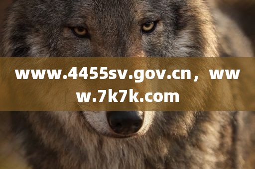 www.4455sv.gov.cn，www.7k7k.com
