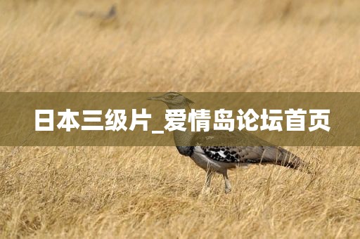 日本三级片_爱情岛论坛首页