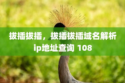 拔插拔插，拔插拔插域名解析ip地址查询 108