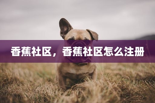 香蕉社区，香蕉社区怎么注册