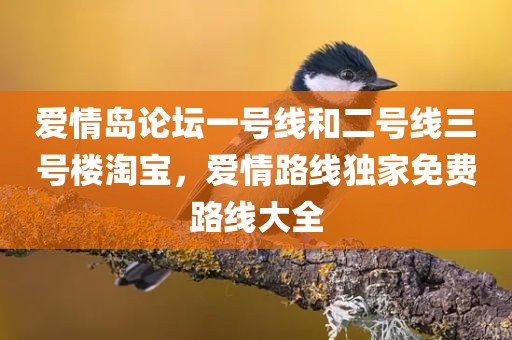 爱情岛论坛一号线和二号线三号楼淘宝，爱情路线独家免费路线大全