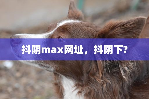抖阴max网址，抖阴下?