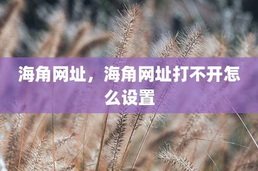 海角网址，海角网址打不开怎么设置