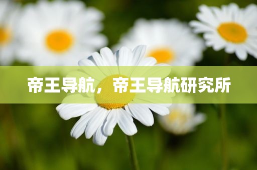 帝王导航，帝王导航研究所