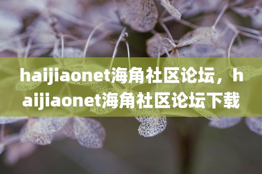 haijiaonet海角社区论坛，haijiaonet海角社区论坛下载