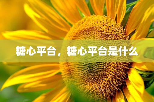 糖心平台，糖心平台是什么
