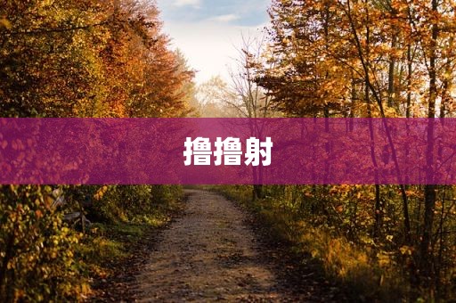 撸撸射