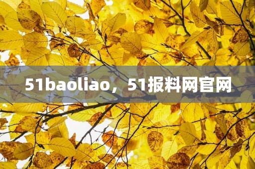 51baoliao，51报料网官网