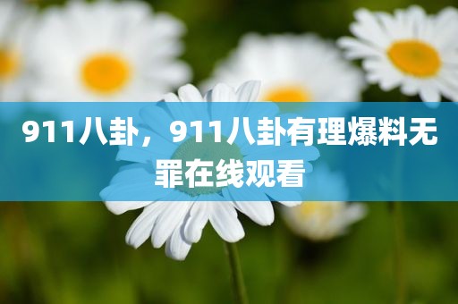 911八卦，911八卦有理爆料无罪在线观看