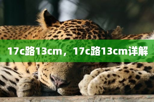 17c路13cm，17c路13cm详解