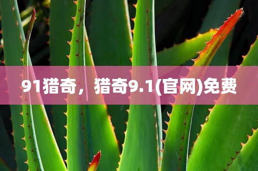 91猎奇，猎奇9.1(官网)免费