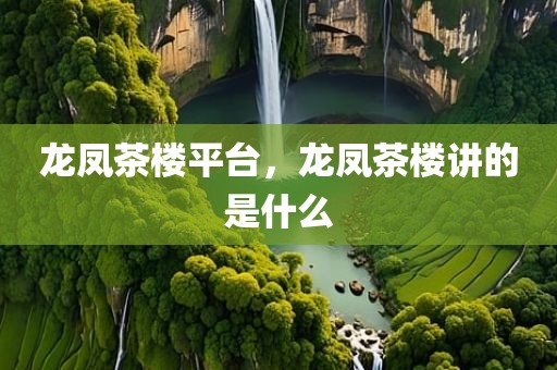 龙凤茶楼平台，龙凤茶楼讲的是什么