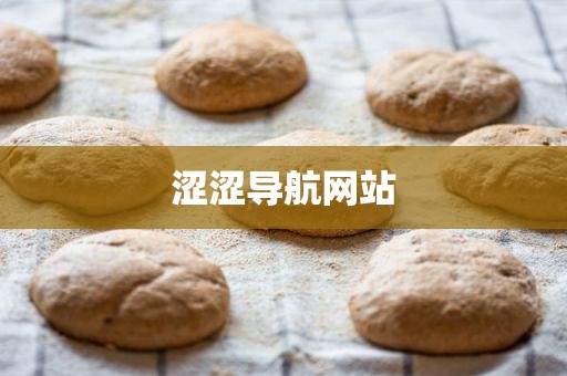 涩涩导航网站