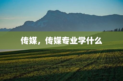 传媒，传媒专业学什么