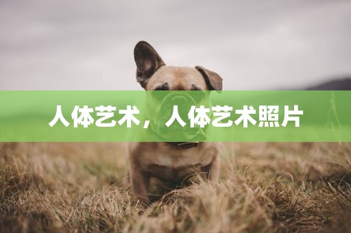 人体艺术，人体艺术照片