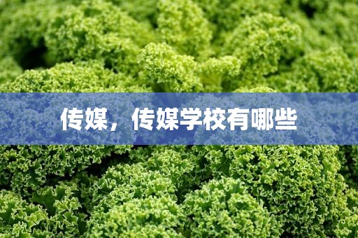 传媒，传媒学校有哪些