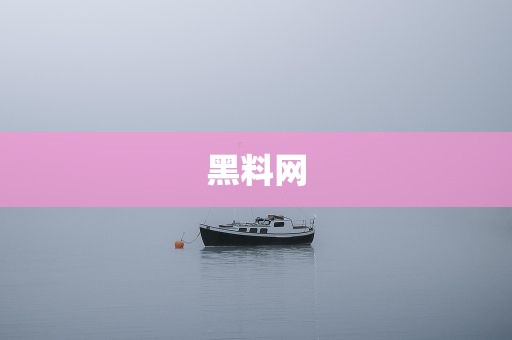 黑料网