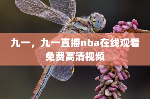 九一，九一直播nba在线观看免费高清视频