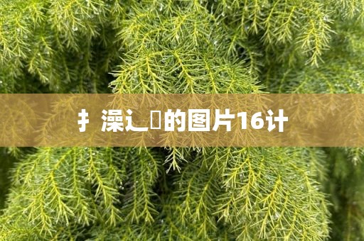 扌澡辶畐的图片16计