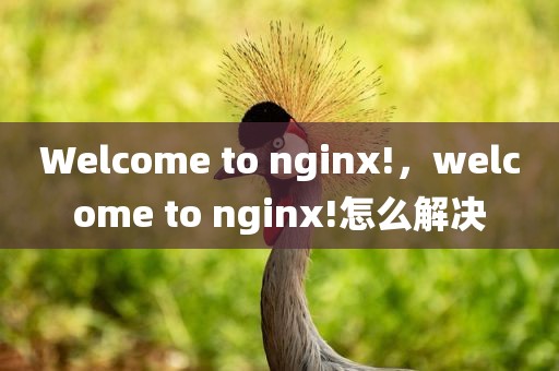 Welcome to nginx!，welcome to nginx!怎么解决