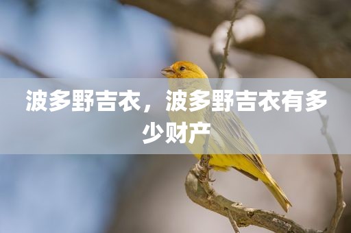 波多野吉衣，波多野吉衣有多少财产