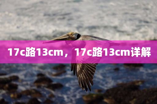 17c路13cm，17c路13cm详解