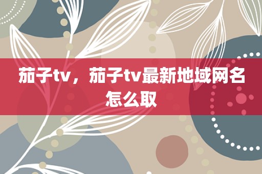 茄子tv，茄子tv最新地域网名怎么取