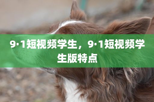 9·1短视频学生，9·1短视频学生版特点
