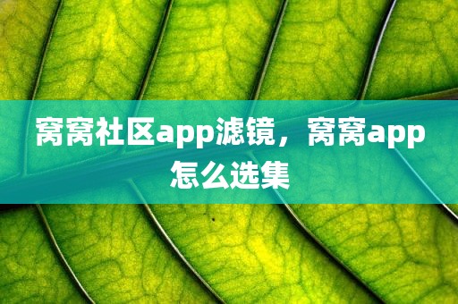 窝窝社区app滤镜，窝窝app怎么选集