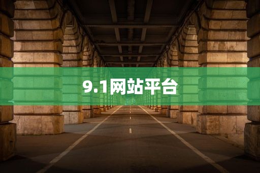 9.1网站平台