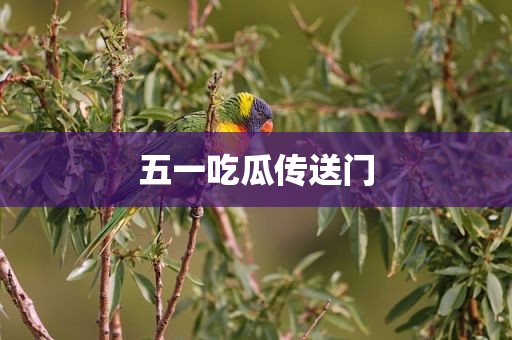 五一吃瓜传送门