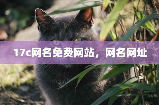 17c网名免费网站，网名网址